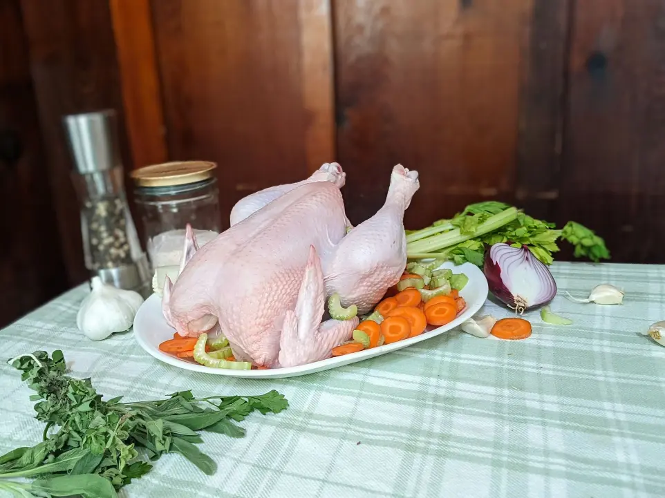 Pasture-raised chickens