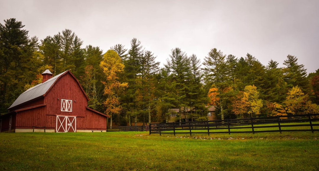 Far Country Farm landscape